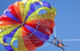 Port Stephens Parasailing - Your Accommodation 0