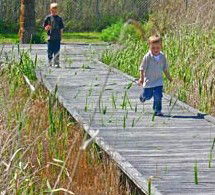 Hunter Wetlands Centre Australia - Your Accommodation 1