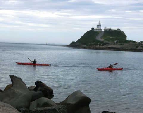Newcastle Kayak Tours - Your Accommodation 0
