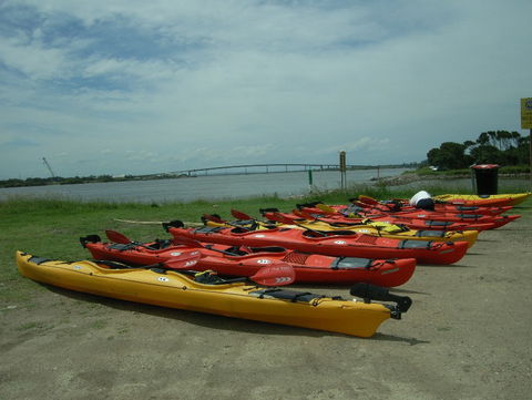 Newcastle Kayak Tours - Your Accommodation 2