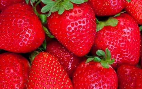 Newcastle City Farmers Markets - Your Accommodation 2
