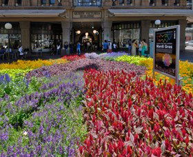 Queen Victoria Building - Your Accommodation 1