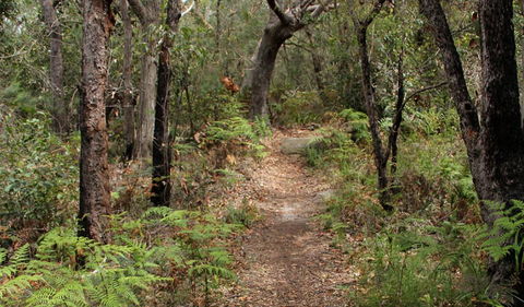 Box Head Track - Your Accommodation 1