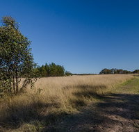 Scheyville horse riding trails - Your Accommodation