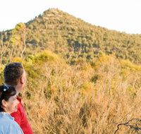 Piles Creek loop - Your Accommodation