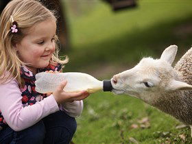 Hahndorf Farm Barn - Your Accommodation 0
