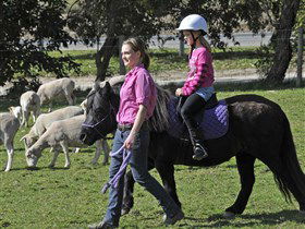 Hahndorf Farm Barn - Your Accommodation 2