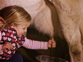 Hahndorf Farm Barn - Your Accommodation 1