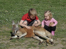 Hahndorf Farm Barn - Your Accommodation 3