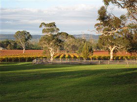 Top Note Vineyard - Your Accommodation 0