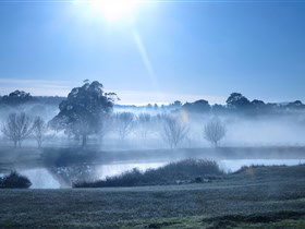 Top Note Vineyard - Your Accommodation 3