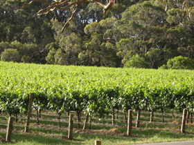 Top Note Vineyard - Your Accommodation 2