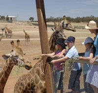 Monarto Open Range Zoo - Your Accommodation