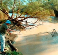 Charleville - Ward River Fishing Spot - Your Accommodation