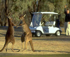 Coomealla Golf Club - Your Accommodation 2