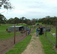 Avenue Emus - Your Accommodation