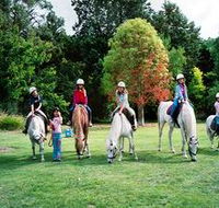 Limestone Coast Horseriding - Your Accommodation