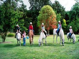 Limestone Coast Horseriding - Your Accommodation 0