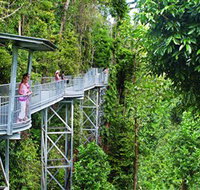 Mamu Tropical Skywalk - Your Accommodation