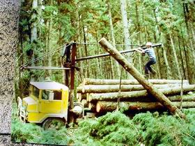 Nangwarry Forestry And Logging Museum - Your Accommodation 3