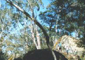 Lake Mundi ACT Your Accommodation