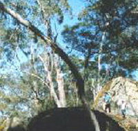 Dergholm State Park - Your Accommodation