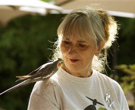 Gredgwin ACT Your Accommodation