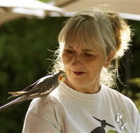 Simply Tomatoes - Your Accommodation