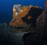 Lady Bowen Dive Site - Your Accommodation