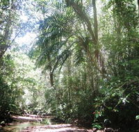 Mount Lewis National Park - Your Accommodation