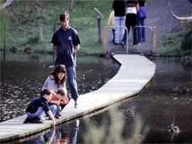Valley Lake Conservation Park - Your Accommodation 2