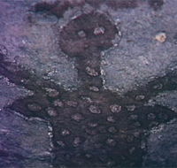 Quinkan Reserves Ancient Rock Art - Your Accommodation