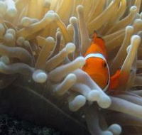 Beaver Reef Dive Site - Your Accommodation