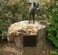 Dingo Statue - Your Accommodation