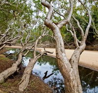 Oyala Thumotang National Park CYPAL - Your Accommodation