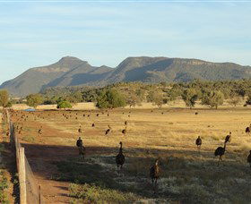 Emu Logic - Your Accommodation 0