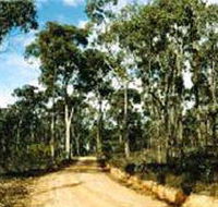 Paddys Ranges State Park - Your Accommodation