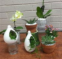 Cobram Florist - Your Accommodation