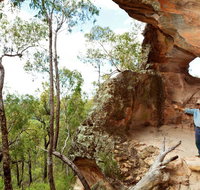 Pilliga National Park - Your Accommodation