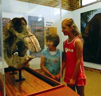 Australian Museum Diprotodon Exhibition - Your Accommodation