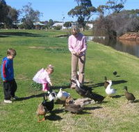 Roy Little Park Merredin - Your Accommodation