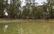 Kindra Forest - thumb 1