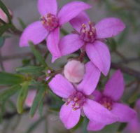 Self Drive Geology and Nature Trails - Your Accommodation