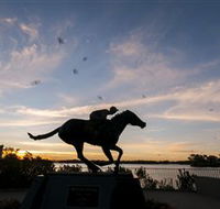 Black Caviar Statue - Your Accommodation