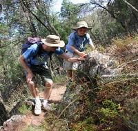 Mount Arthur Reserve - Your Accommodation