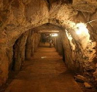 Wellington Caves and Phosphate Mine - Your Accommodation