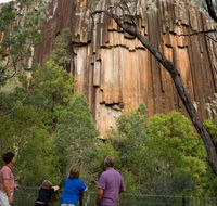 Sawn Rocks walking track - Your Accommodation