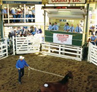 Gracemere Exhibition Complex - Your Accommodation