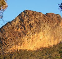 Kaputar scenic drive - Your Accommodation