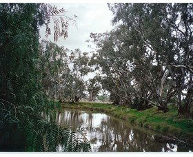 Henty Government Dam Nature Reserve - Your Accommodation 0